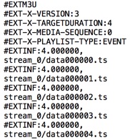 HLS Segment Playlist with Folder Declaration